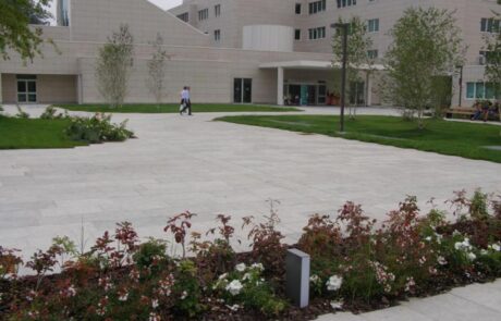 Piazza dell Humanitas University Rozzano realizzata in Marmo Grigio Olivo
