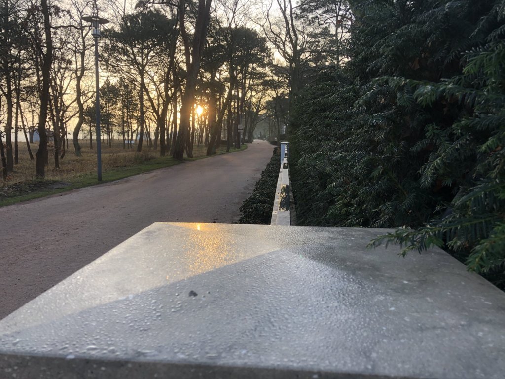 Progetto Germania Grigio Olivo (3) (FILEminimizer)